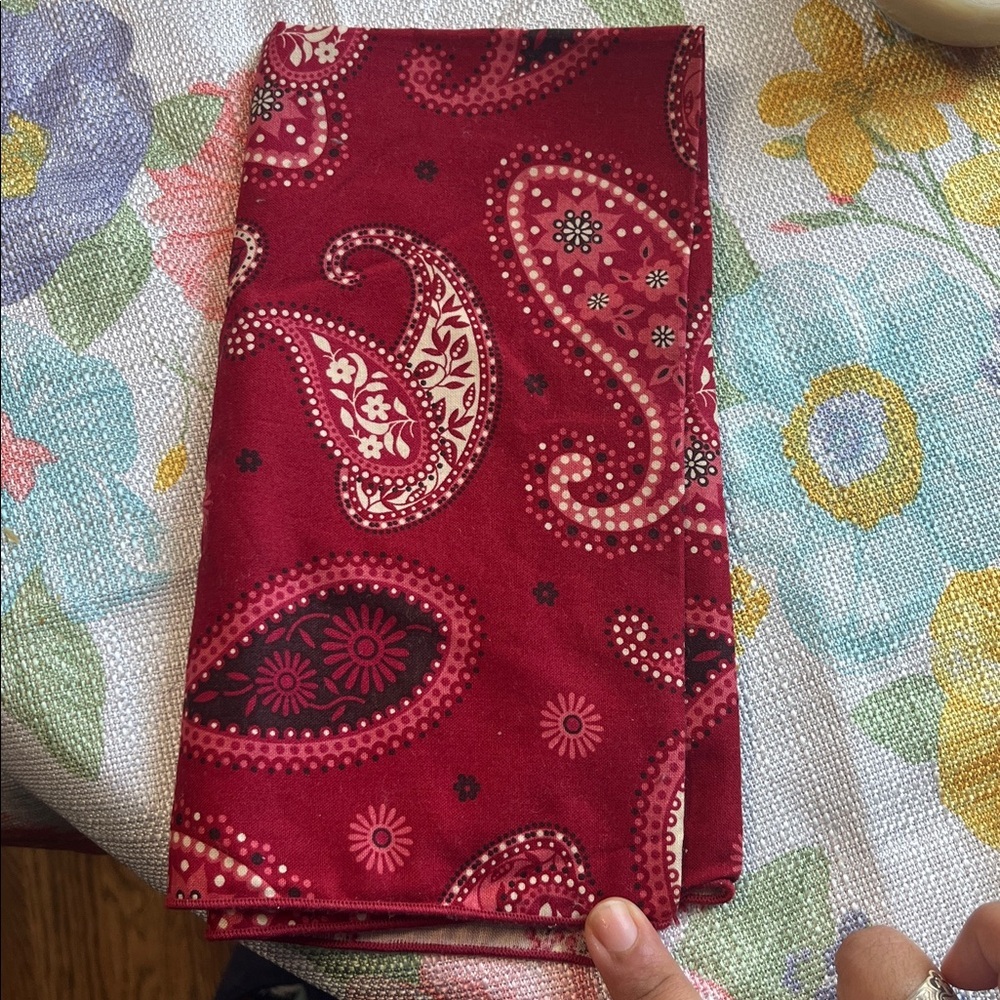 NEW Mesa red paisley fabric clothe napkin